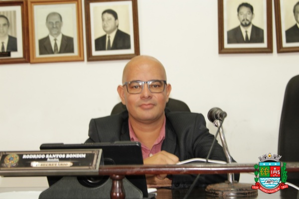 Sessão Ordinária 02-04-20 (7).JPG