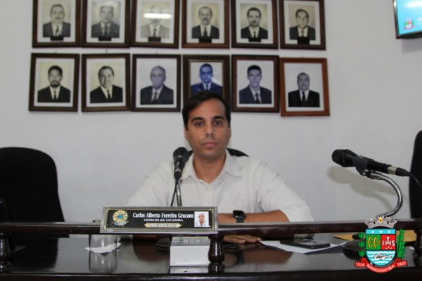 Sessão Ordinária 02-04-20 (8).JPG