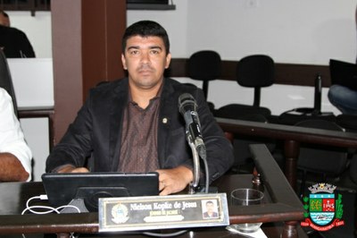 Sessão ordinária 03-03 (7).JPG