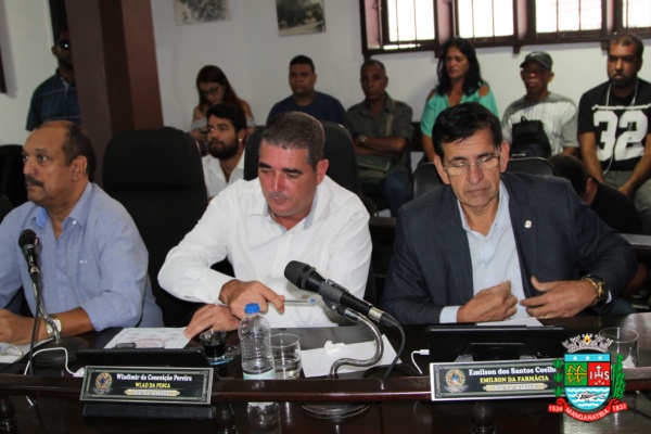 Sessão ordinária 10-03 (32).JPG