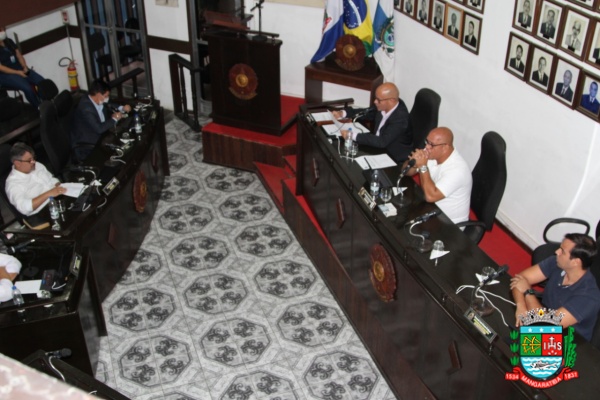 Sessão ordinária 31-03-20 (10).JPG