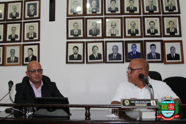 Sessão ordinária 31-03-20 (14).JPG