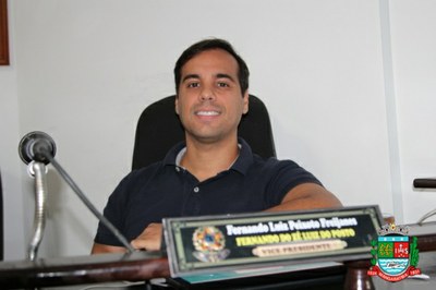 Sessão ordinária 31-03-20 (19).JPG