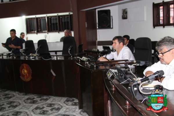 Sessão ordinária 31-03-20 (27).JPG