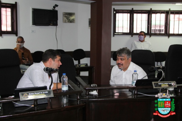 Sessão ordinária 31-03-20 (34).JPG