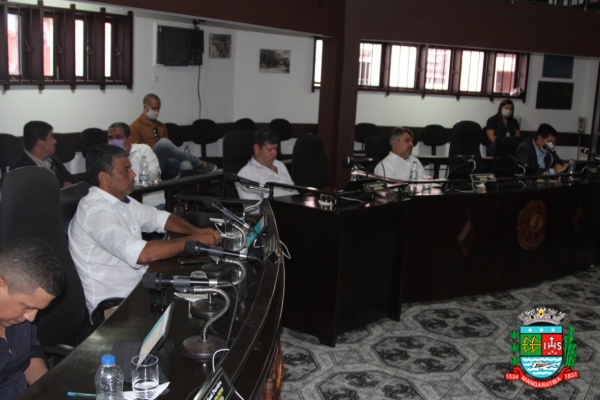 Sessão ordinária 31-03-20 (43).JPG