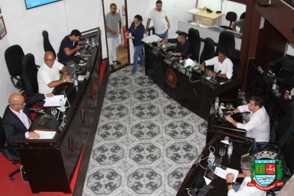 Sessão ordinária 31-03-20 (46).JPG