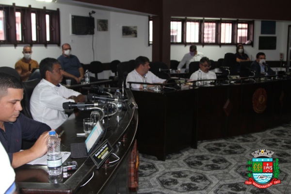 Sessão ordinária 31-03-20 (8).JPG