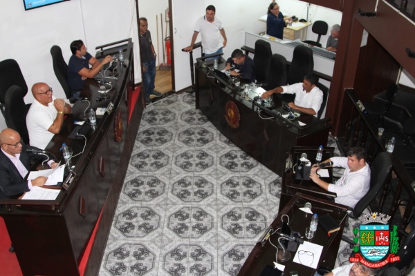 Sessão ordinária 31-03-20 (9).JPG